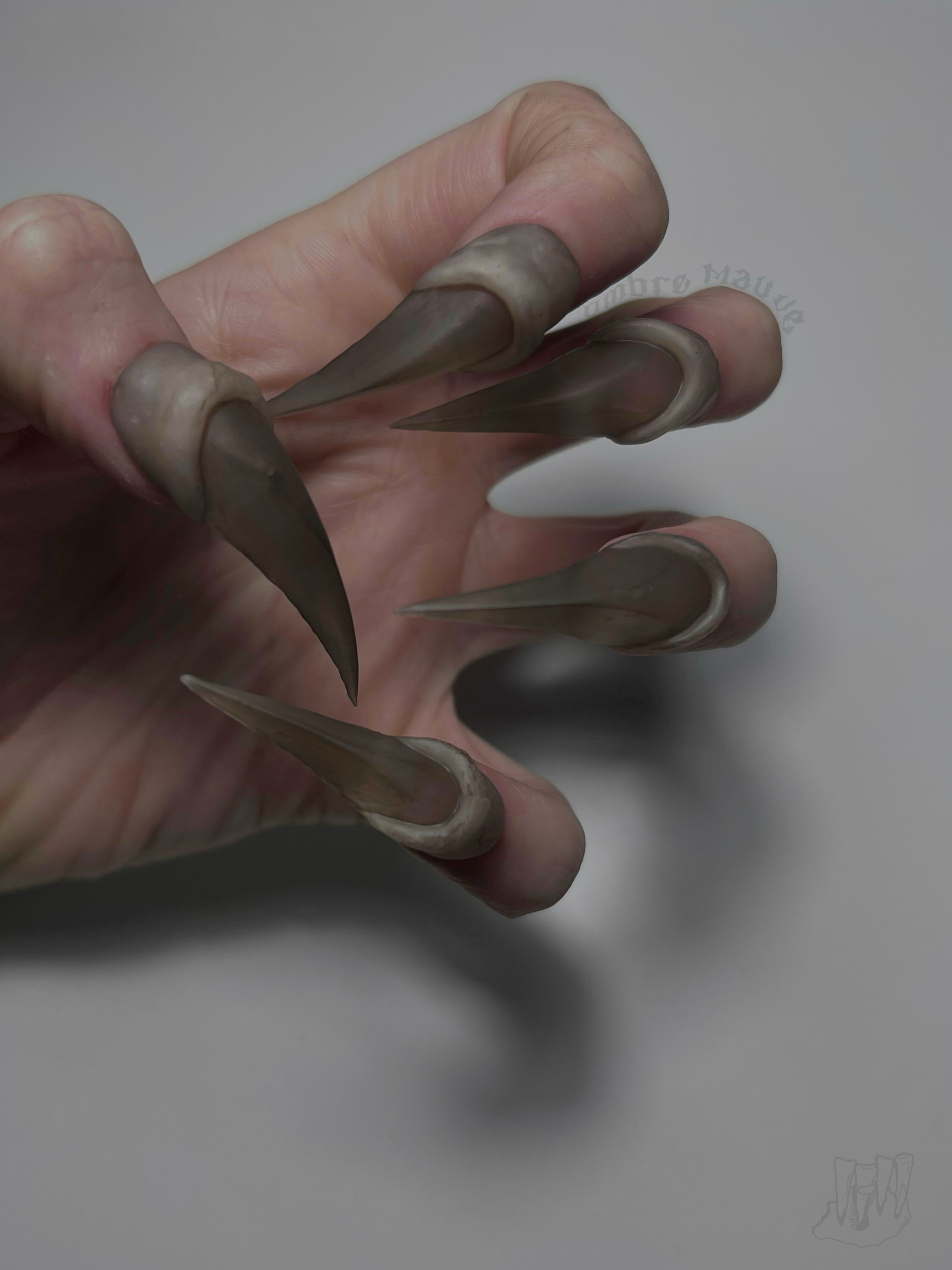 Cat's Claw