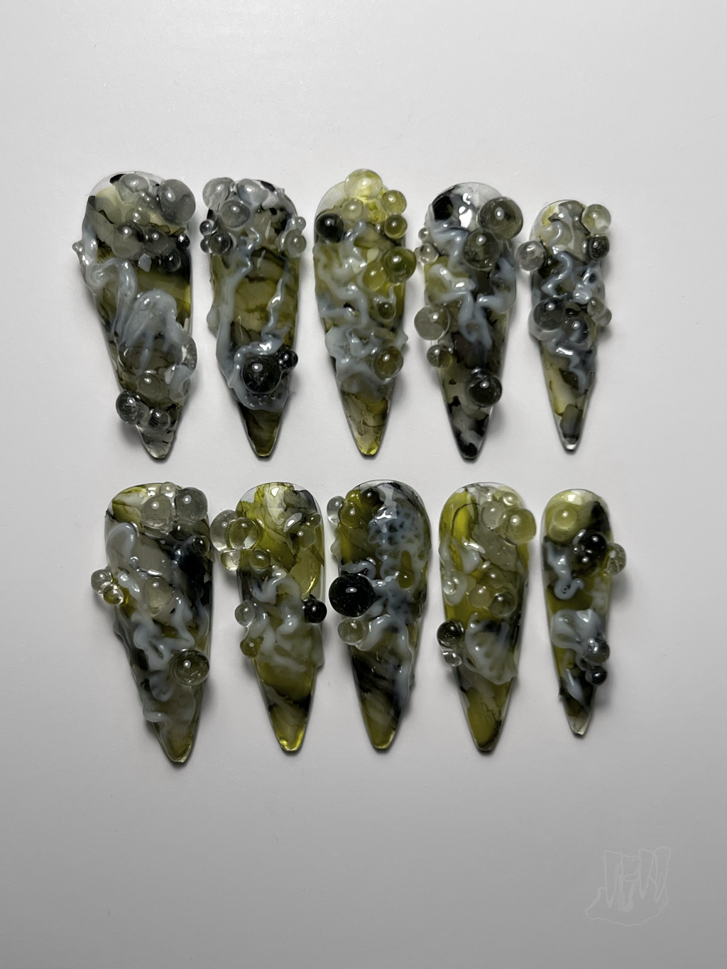 Cladophora