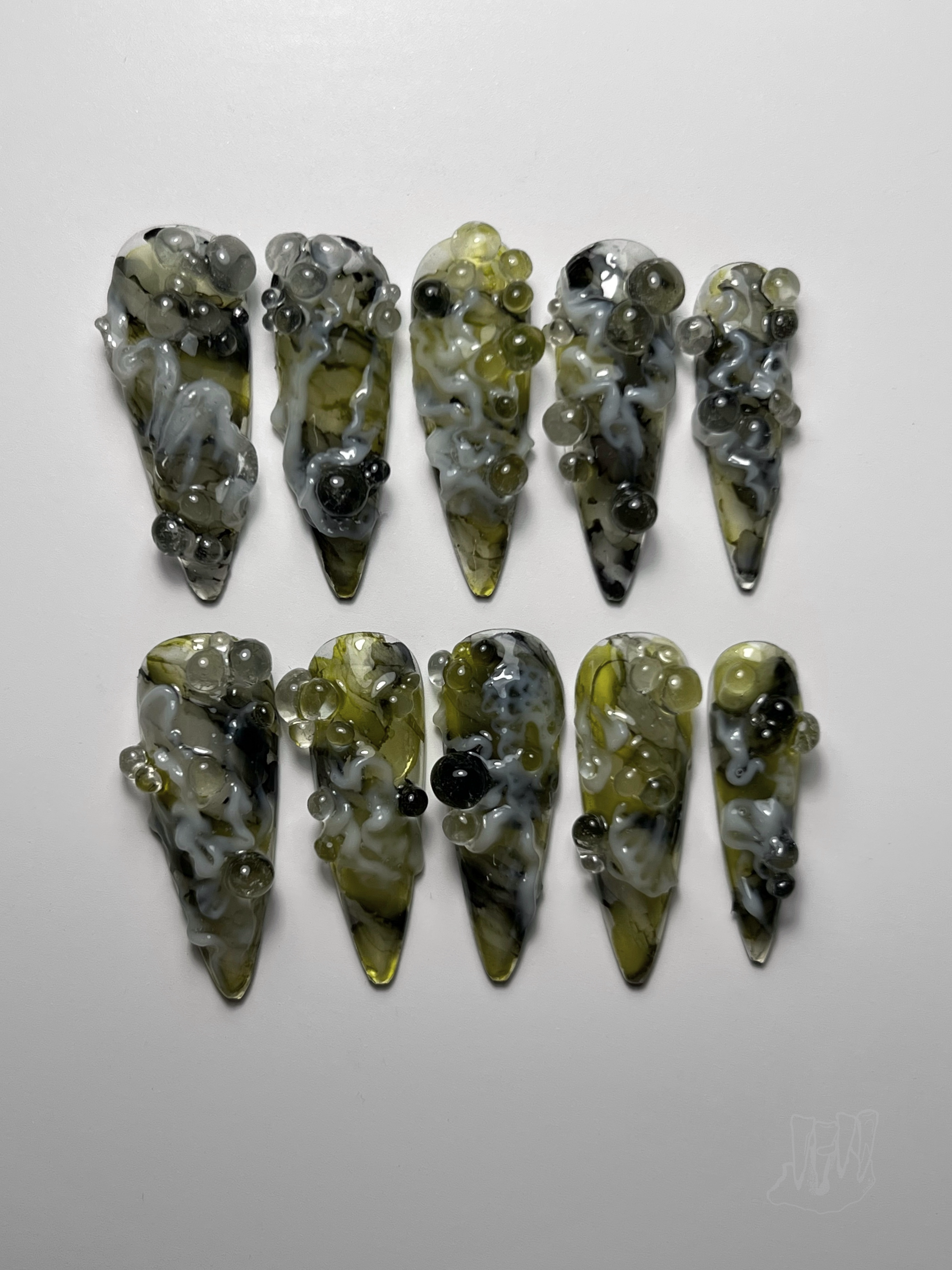 Cladophora